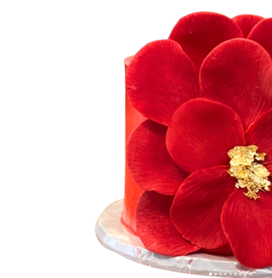 cake feature image 01